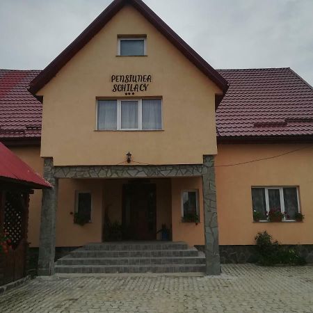 Pensiunea Schilacy Grosii Tiblesului Exterior foto